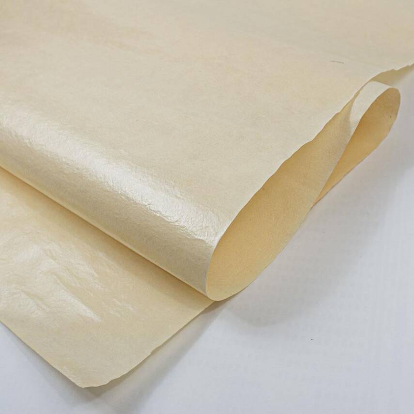 Ahar Awagami Japanese Paper Sekishu Natural 34 Gr/M2 98X66 Cm - 2