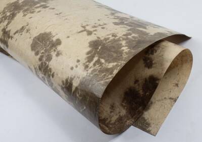 Ahar Nepal Paper 005 45x70 cm - 2