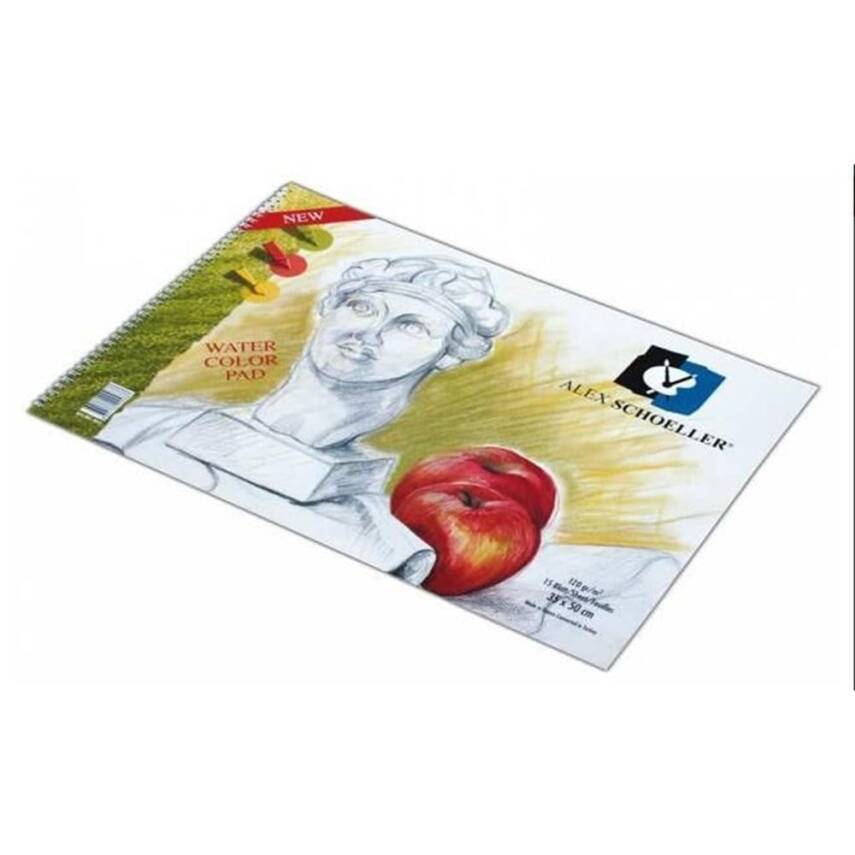 Alex Schooler Fine Texture Drawing Notebook 120 Gr 35*50 Cm - 1