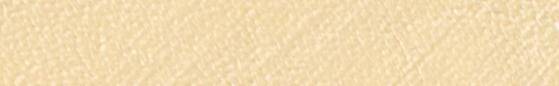 Angelus Deri Boyası LP-156 Champagne - 4