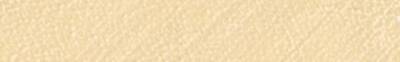 Angelus Leather Paint LP-156 Champagne