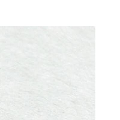 Awagami Factory Fuji Kozo Roll 3 G/M2 1x10 meters - 1