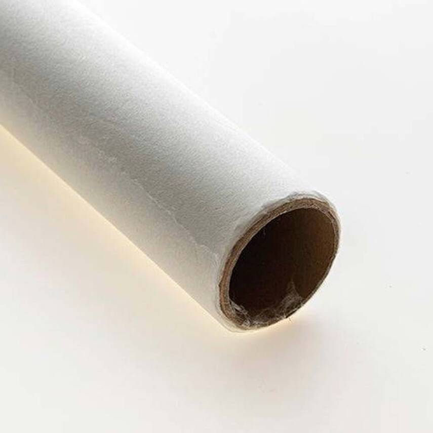 Awagami Factory Tengucho Roll 5 G/M2 100X10M - 2