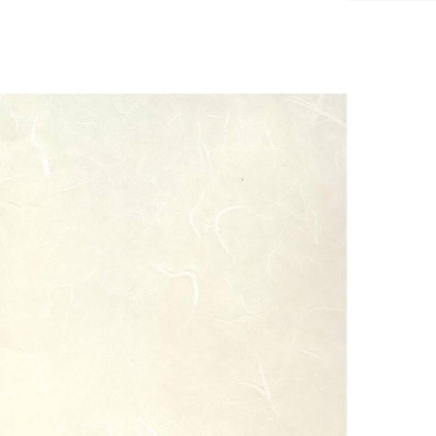 Awagami Factory Unryu Natural T65 79X110 cm - 1