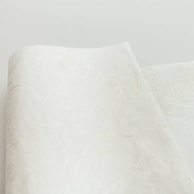 Awagami Factory Unryushi Sh-20 50 G/M2 97X64 Cm - 3