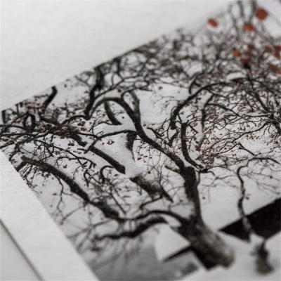 Awagami Japanese Paper Kozo Thick White Roll 70 Gr/M2 111.8X15 m IJ0335 - 3