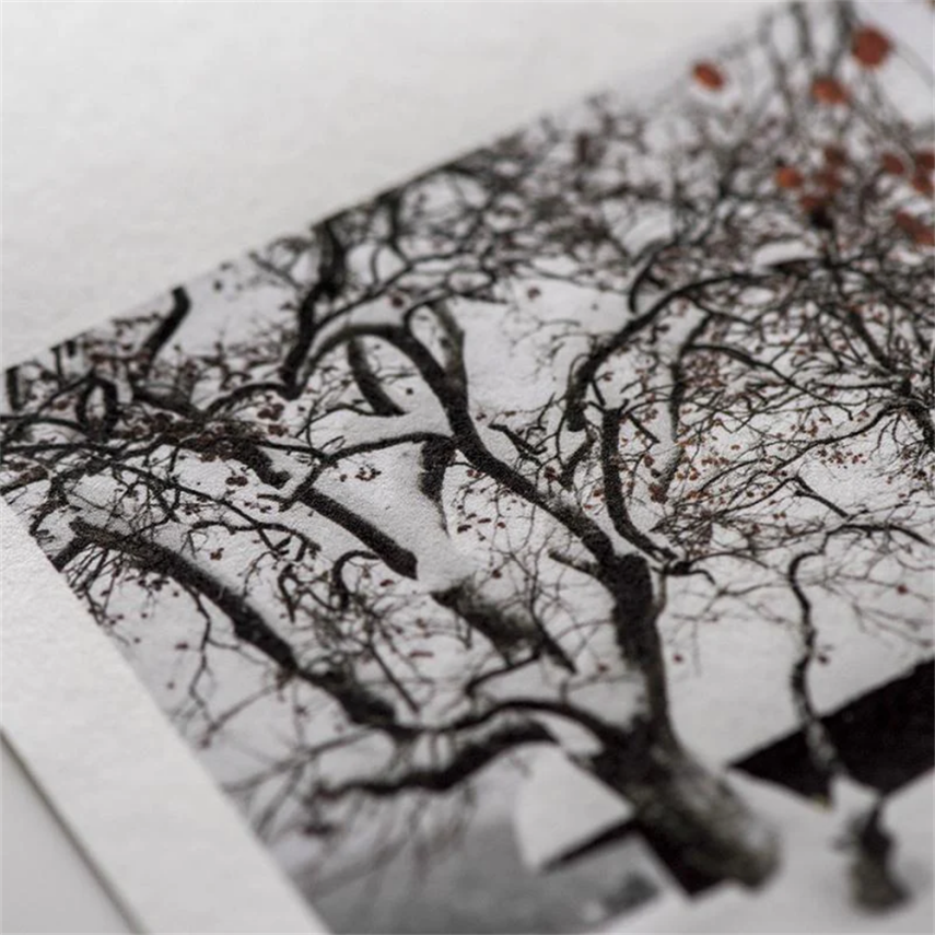 Awagami Japanese Paper Kozo Thick White Roll 70 Gr/M2 111.8X15 m IJ0335 - 3