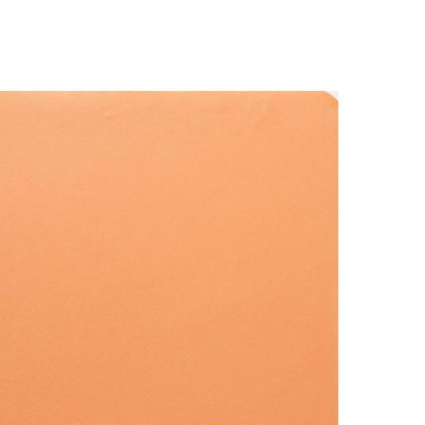 Awagami Japanese Paper Mingeishi M-38 Gr/M2 97X64 Cm - 1