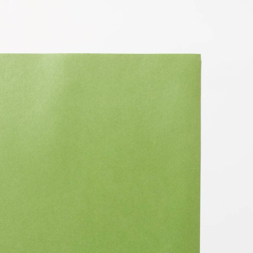 Awagami Japanese Paper Shin Inbe Thin Lime 65 Gr/M2 109.1X78.8 Cm - 1