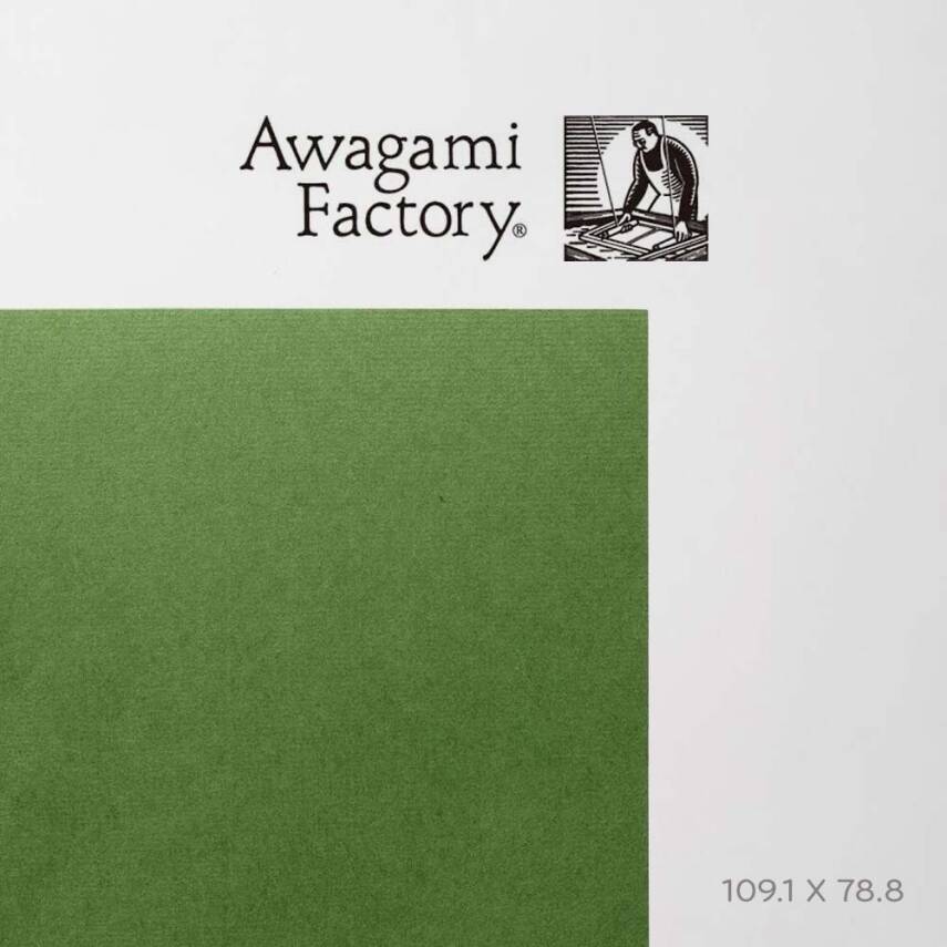 Awagami Japanese Paper Shin Inbe Thin Moss 65 Gr/M2 109.1X78.8 Cm - 1