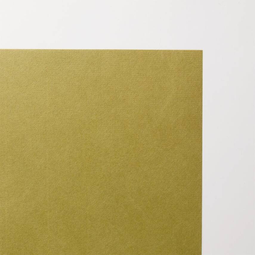Awagami Japanese Paper Shin Inbe Thin Olive 65 Gr/M2 109.1X78.8 Cm - 1