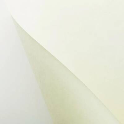 Awagami Japanese Paper Shin Inbe Thin Pearl White 65 gr/m2 109.1x78.8 cm - 2