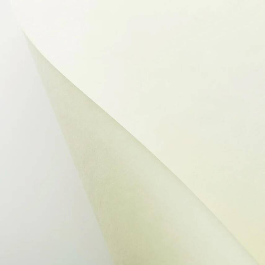 Awagami Japanese Paper Shin Inbe Thin Pearl White 65 gr/m2 109.1x78.8 cm - 2