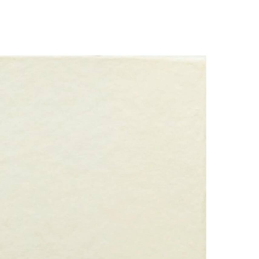 Awagami Japon Kağıdı Bizan Natural Thick A3+ IJ-3237 - 1