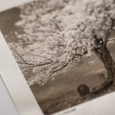 Awagami Japon Kağıdı Inkjet IJ-0325 Kozo Thin Natural Roll 111.8x15 m - 3