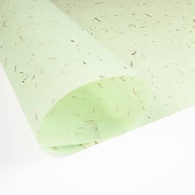 Awagami Japon Kağıdı Nature Onion 48 G/M2 94X64 Cm (1)