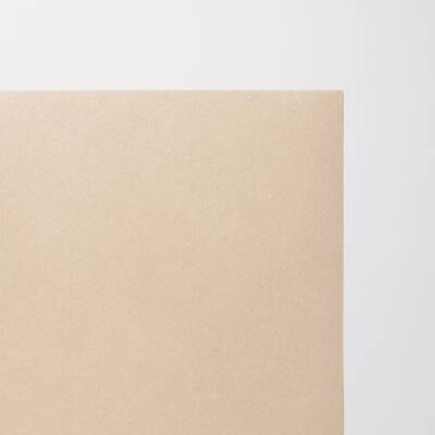 Awagami Japon Kağıdı Shin Inbe Thick Pear Brown 105 Gr/M2 109.1X78.8 Cm