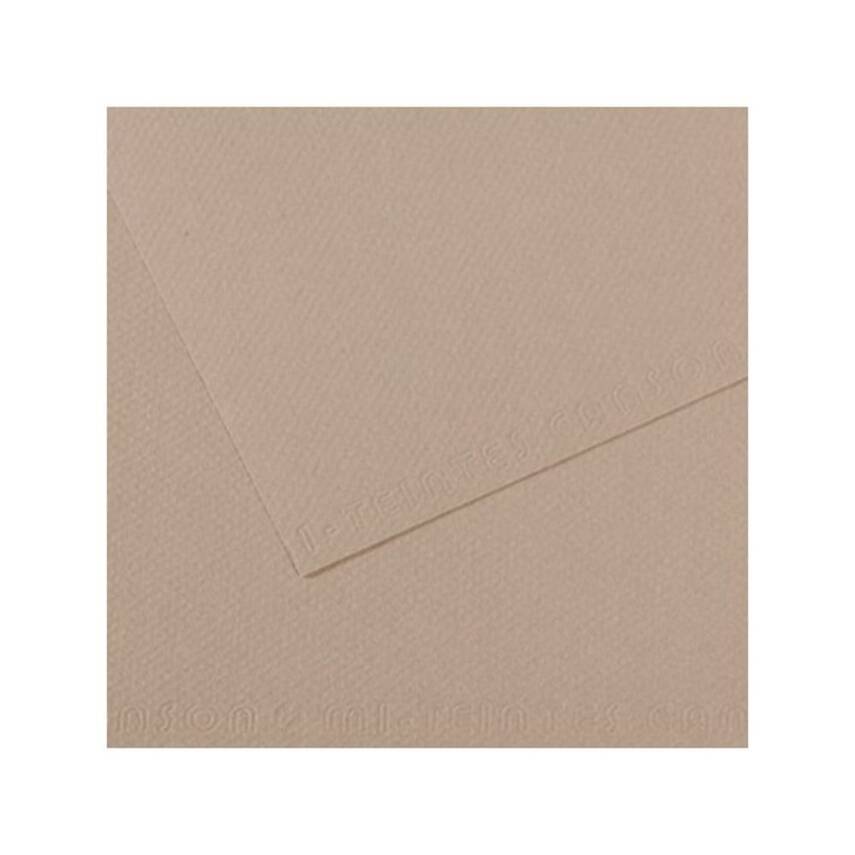 Canson Cardboard 160G A4 Gray 122 - 1