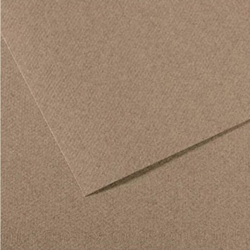Canson Cardboard 160G A4 Gray 431 - 1