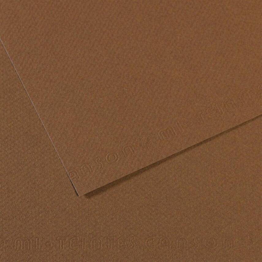 Canson Cardboard 50X65 160G Bro133 - 1