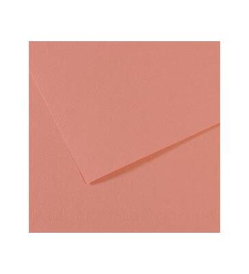 Canson Cardboard 50X65 160G Pink 352