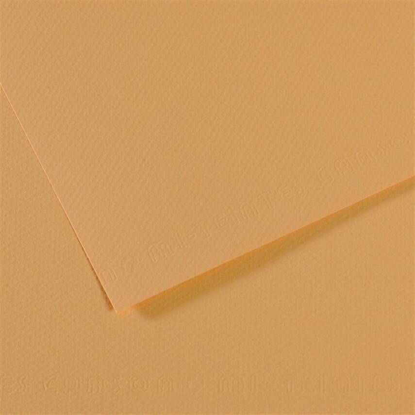Canson Cardboard A4 160g 340 - 1