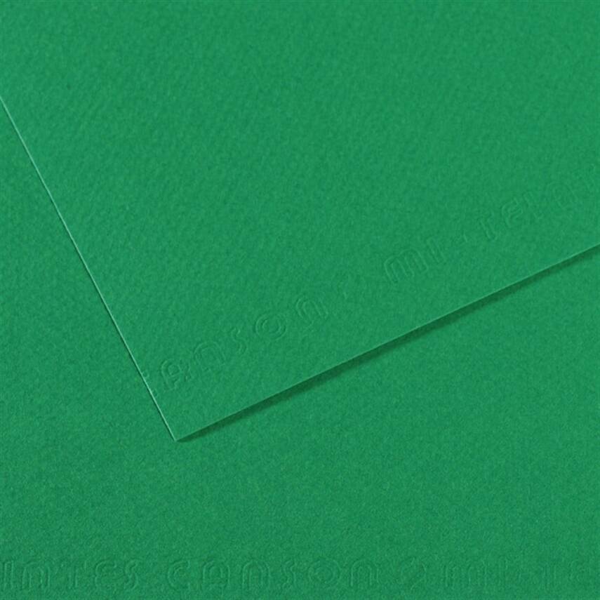Canson Cardboard A4 160g V.billard575 - 1