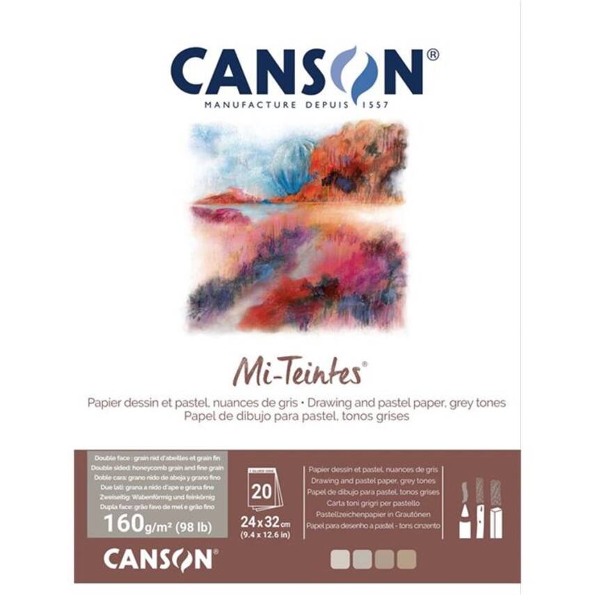 Canson Mi-Teintes Pastel Defteri 160 gr 24x32 cm 20 sf Gri Tonları - 2