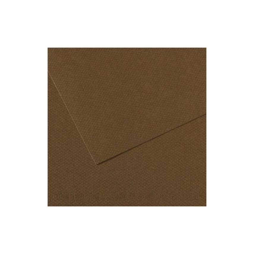 Canson Mi-Teintes Pastel Kağıdı 50x65 160g Brown 501 - 1