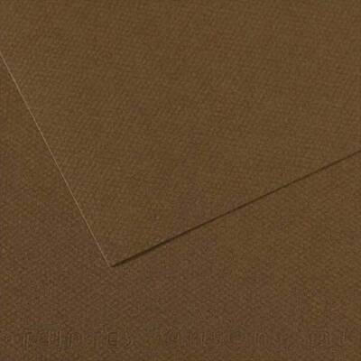 Canson Mi-Teintes Pastel Kağıdı 50x65 160g Brown 501