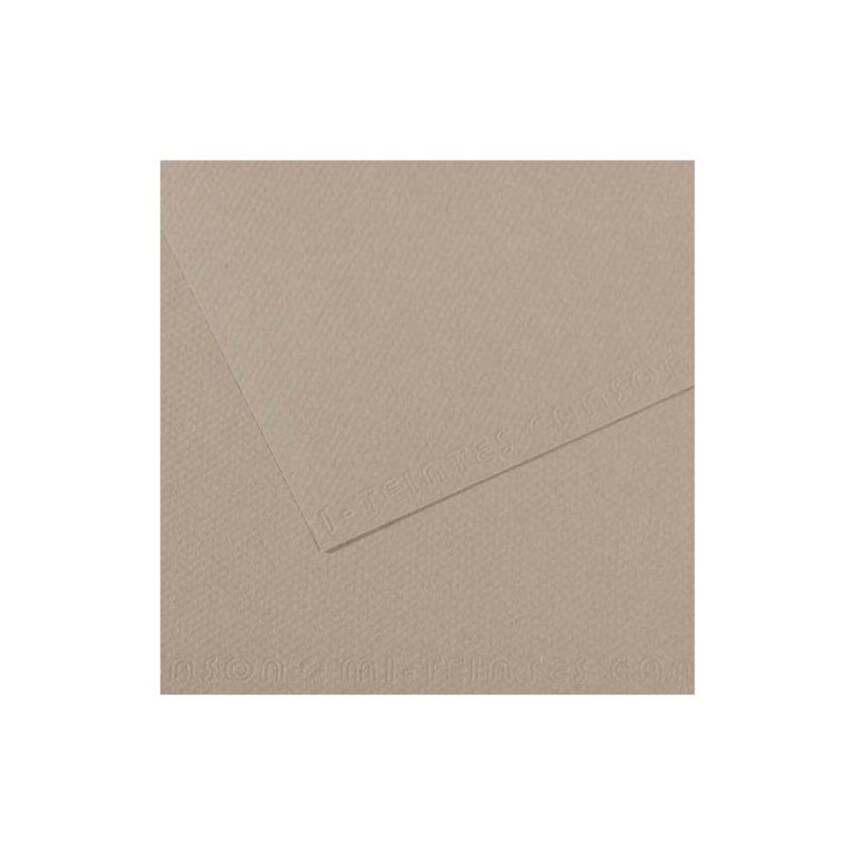 Canson Mi-Teintes Pastel Kağıdı 50x65 160g Grey 122 - 1