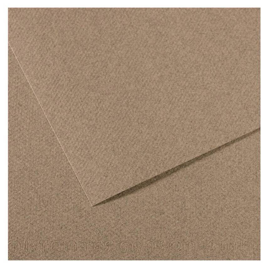 Canson Mi-Teintes Pastel Kağıdı 50x65 160g Grey 431 - 1