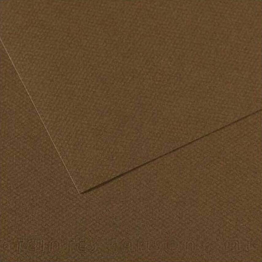 Canson Mi-Teintes Pastel Paper 50x65 160g Brown 501 - 1