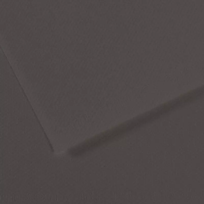 Canson Mi-Teintes Pastel Paper 50x65 160g Charcoal Grey 184 - 1