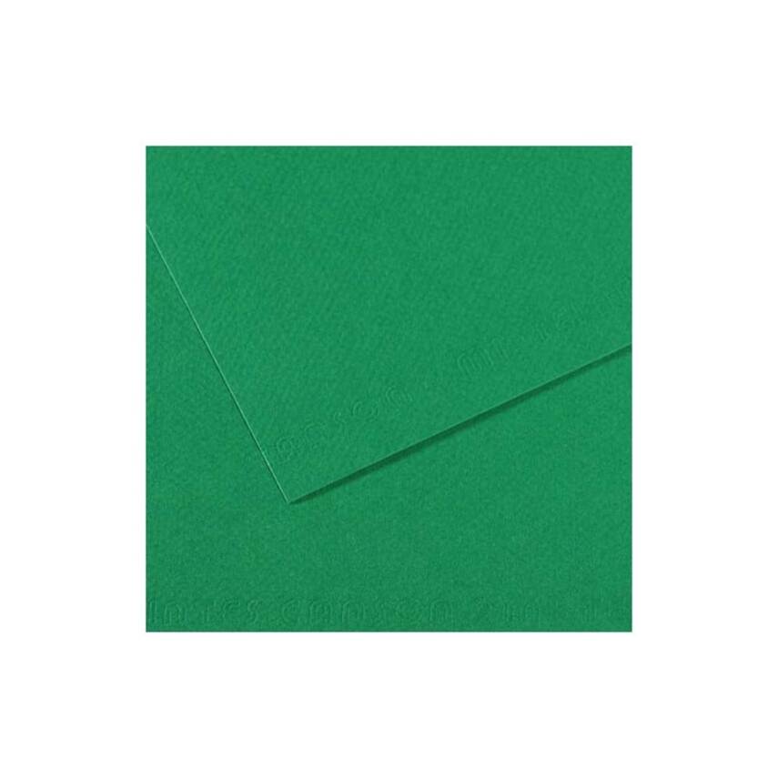 Canson Mi-Teintes Pastel Paper 50x65 160g Green 575 - 1