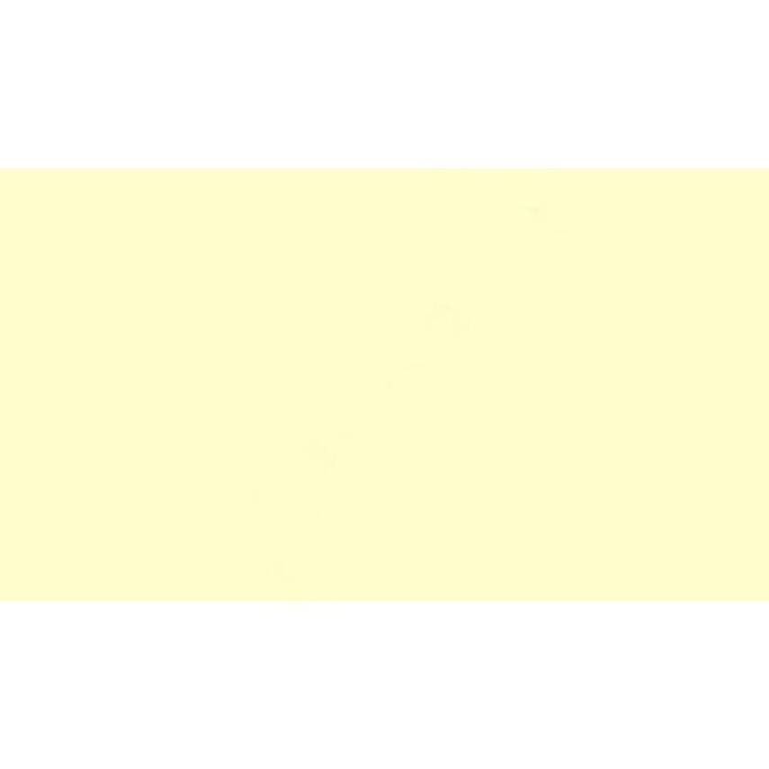 Copic Various Ink Y 11 - 3