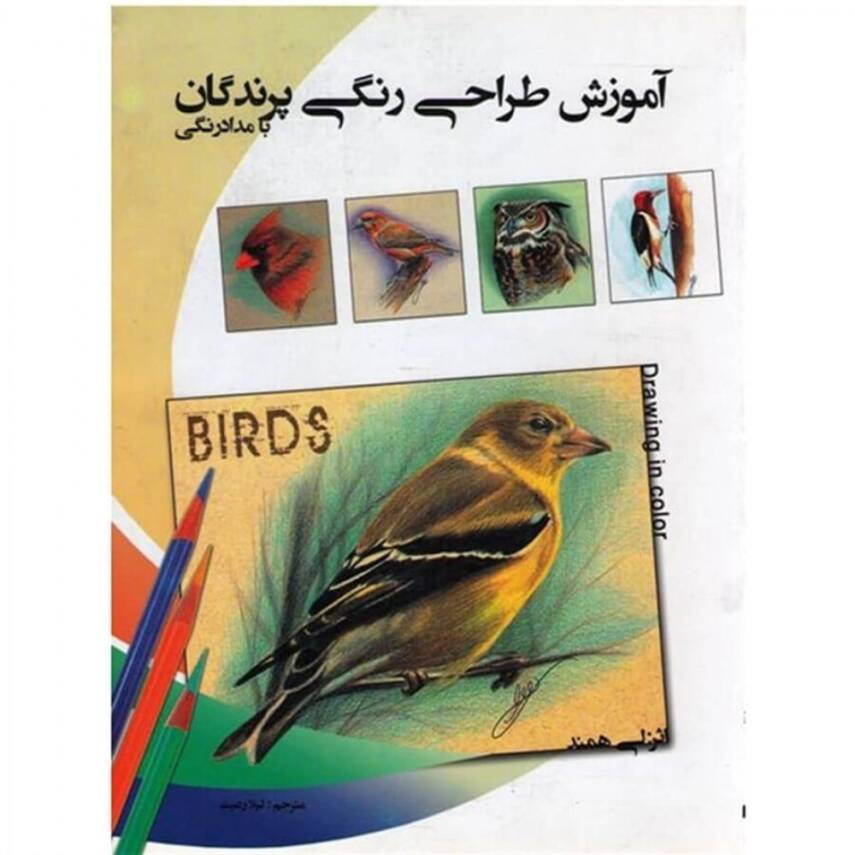 Drawing In Color Birds - 1