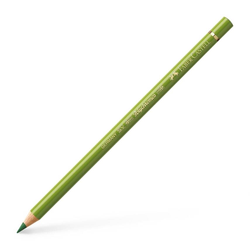 Faber Castell Polychromos Artist Color Pencil 168 Earth Green Yellowish - 1