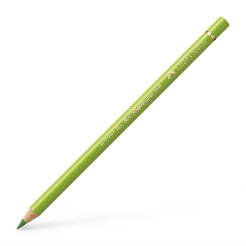 Faber Castell Polychromos Artist Color Pencil 170 May Green - 1