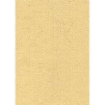 Folia Elephant Paper Chamois 110Gr 50x70cm - 1