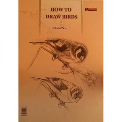 How To Draw Bırds - 2