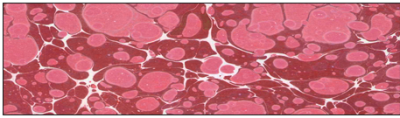 Karin Marbling Paint 605 Oxide Red 105 ml