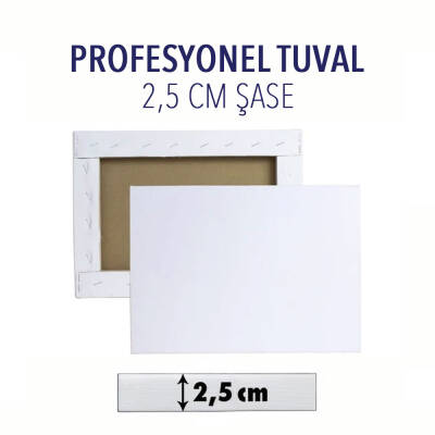 Karin Profesyonel Tuval 2,5 cm Şase