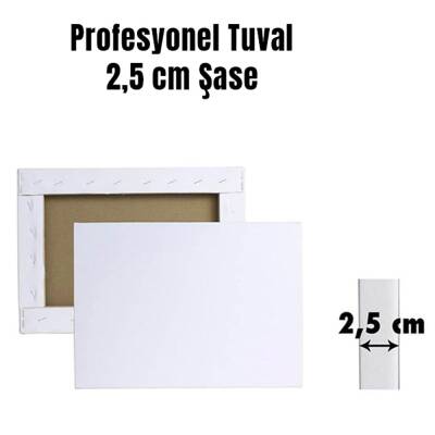 Karin Profesyonel Tuval 2,5 cm Şase