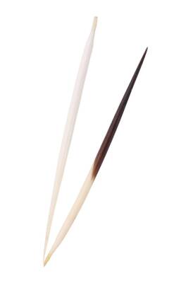 Karin the Hedgehog Arrow Big