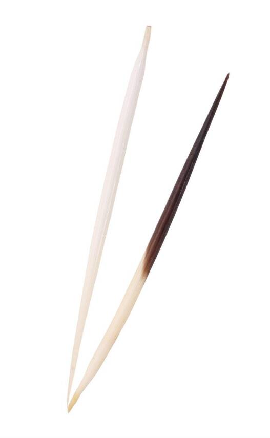 Karin the Hedgehog Arrow Big - 1