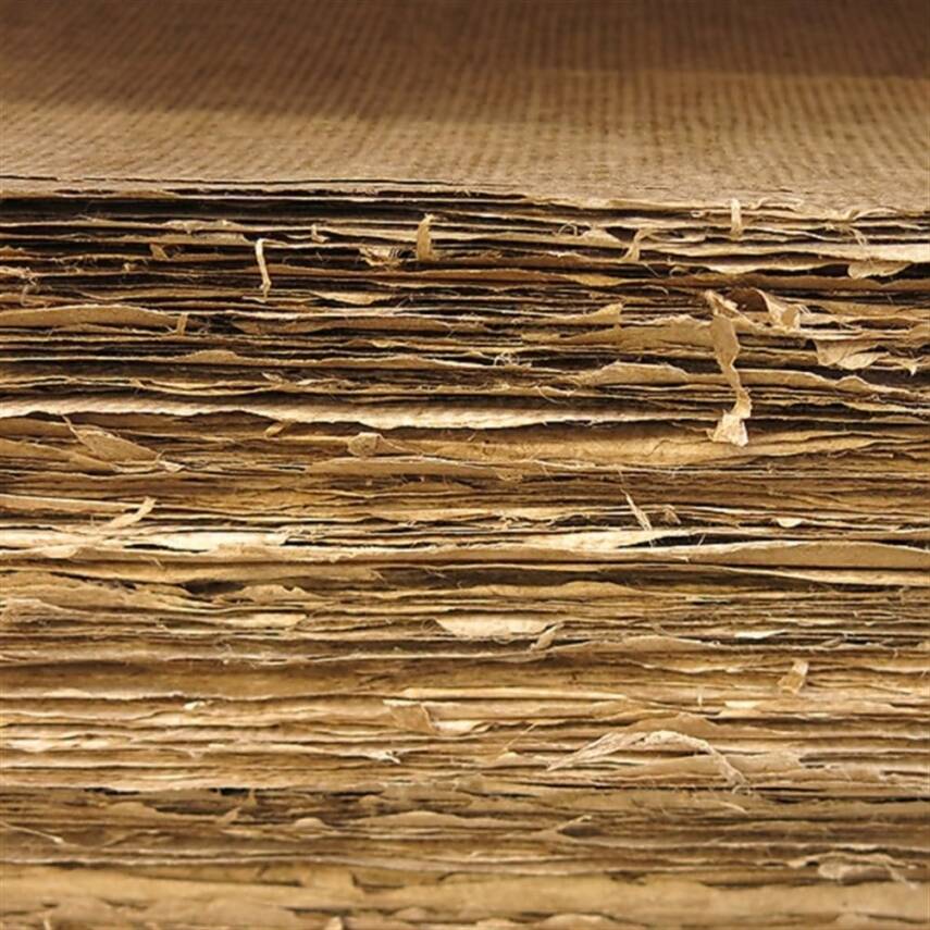 Khadi Bhutan Tsasho Paper 100 gsm 54x90 cm - 2