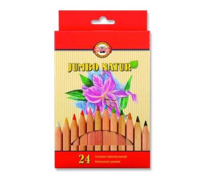 Koh-i Noor Set of Jumbo Colored Pencils 24-pack 2174 N - 1