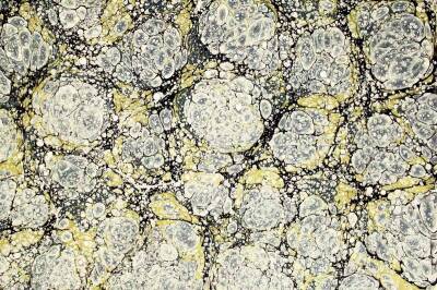 Koza Marbling Paint 105 ml Leaf Green - 2