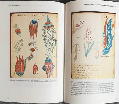 Lalezar-ı Süheyli - Tarihimizde Lale Merakı - 3